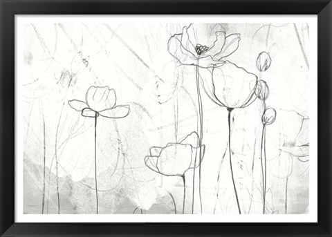 Framed Poppy Sketches II Print