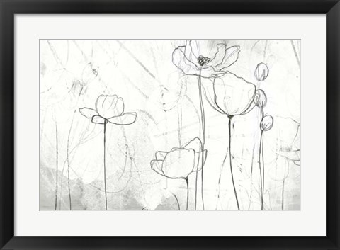Framed Poppy Sketches II Print