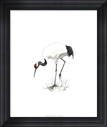 Framed Japanese Cranes II Print