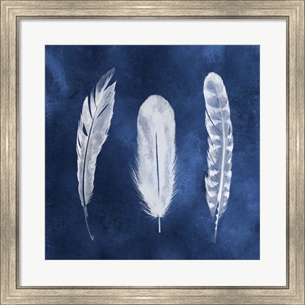 Framed Cyanotype Feathers I Print