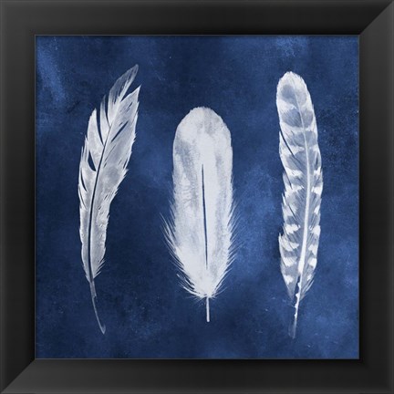 Framed Cyanotype Feathers I Print