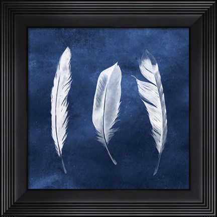 Framed Cyanotype Feathers II Print