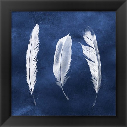 Framed Cyanotype Feathers II Print