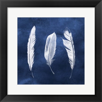 Framed Cyanotype Feathers II Print