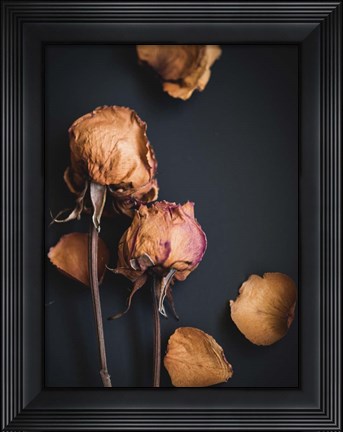 Framed Wilted Dreams I Print