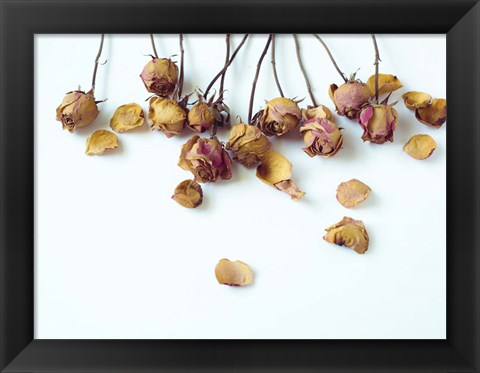 Framed Golden Petals I Print