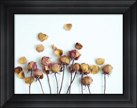 Framed Golden Petals II Print