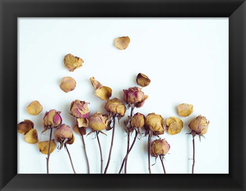 Framed Golden Petals II Print