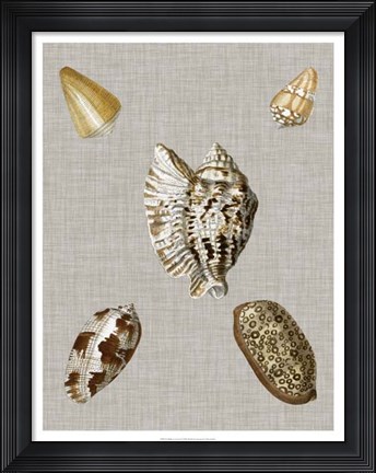 Framed Shells on Linen I Print
