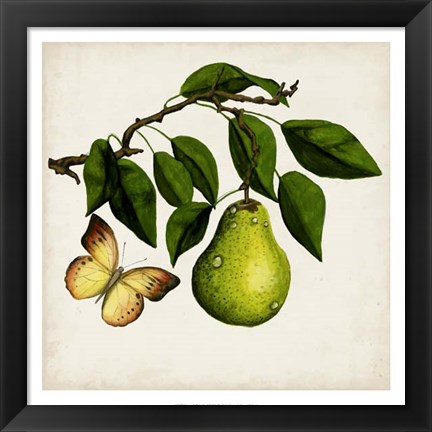 Framed Fruit with Butterflies I Print