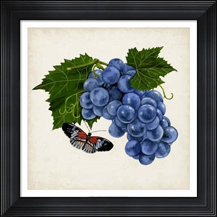 Framed Fruit with Butterflies II Print