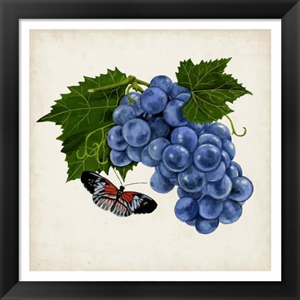 Framed Fruit with Butterflies II Print