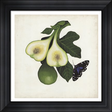 Framed Fruit with Butterflies III Print