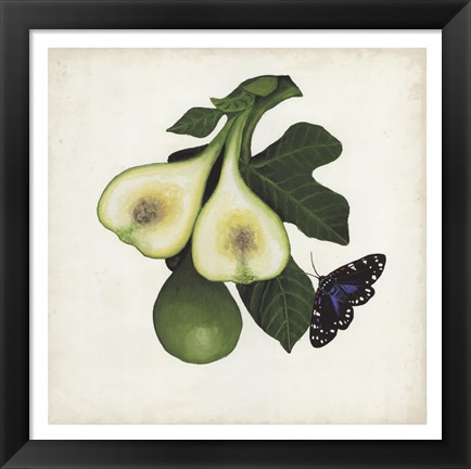 Framed Fruit with Butterflies III Print