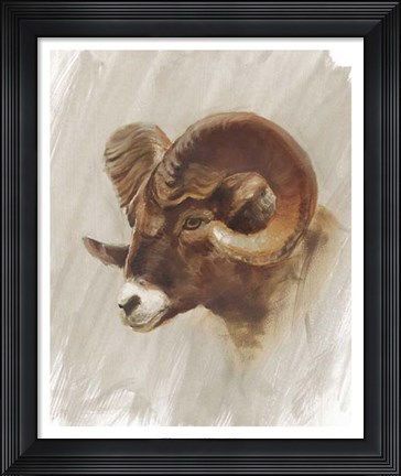 Framed Western American Animal Study I Print