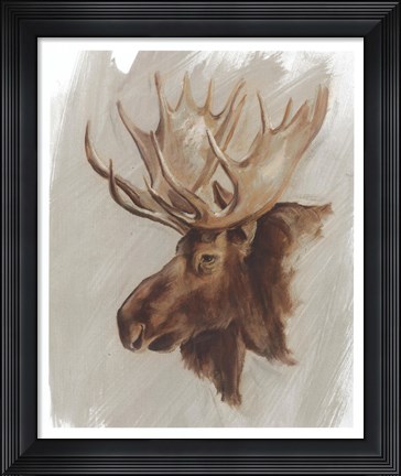 Framed Western American Animal Study II Print