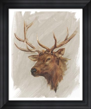Framed Western American Animal Study IV Print