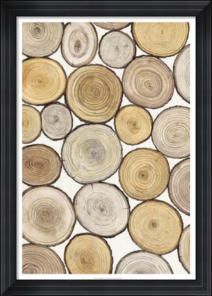 Framed Tree Ring Study I Print