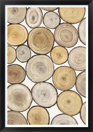 Framed Tree Ring Study I Print