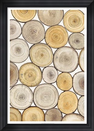 Framed Tree Ring Study II Print