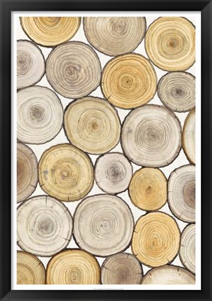 Framed Tree Ring Study II Print