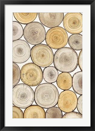 Framed Tree Ring Study II Print