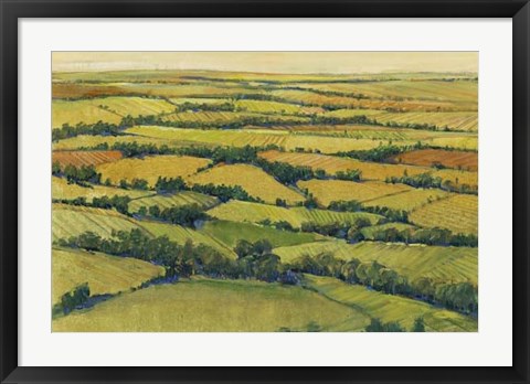 Framed View Above I Print