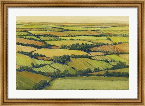 Framed View Above II Print