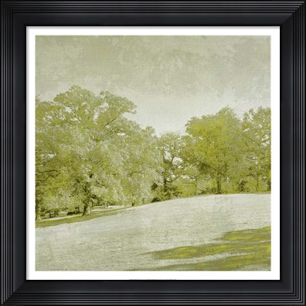 Framed Beryl Landscape  II Print