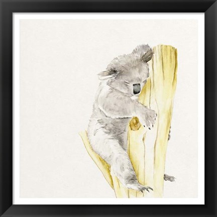 Framed Baby Koala I Print