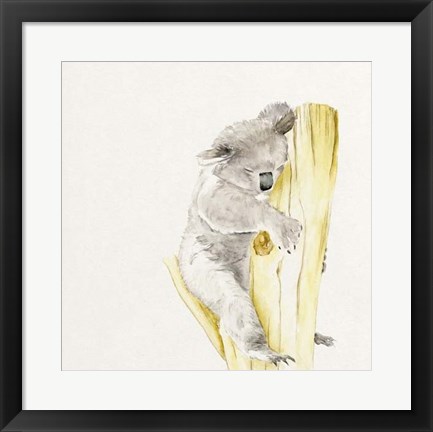 Framed Baby Koala I Print