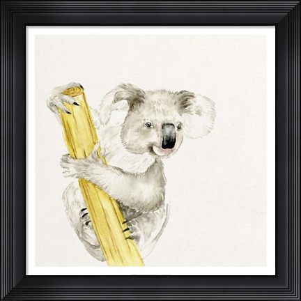 Framed Baby Koala II Print