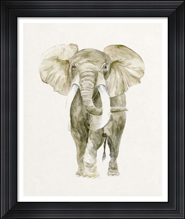 Framed Baby Elephant I Print