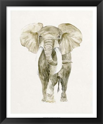 Framed Baby Elephant I Print