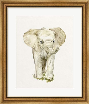 Framed Baby Elephant II Print