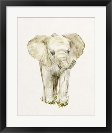 Framed Baby Elephant II Print