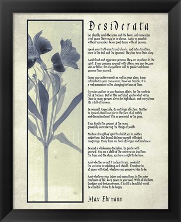 Framed Desiderata Blue Daguerreotype Print