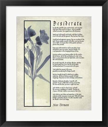 Framed Desiderata Blue Daguerreotype Print