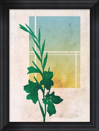 Framed Ombre Gladiolus Flowers Print