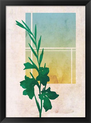 Framed Ombre Gladiolus Flowers Print