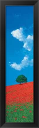 Framed Pendio Fiorito Print