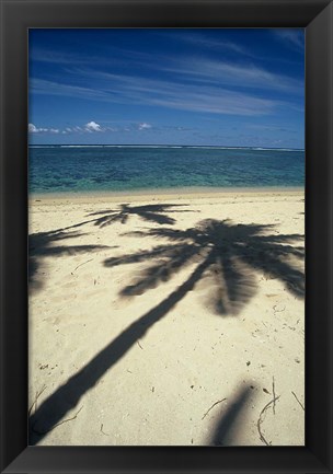 Framed Shadow of Palm Trees on Beach, Coral Coast, Fiji Print