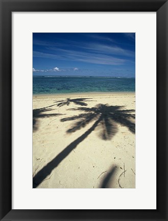 Framed Shadow of Palm Trees on Beach, Coral Coast, Fiji Print