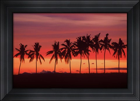 Framed Palm Trees and Sunset, Queens Road, Fiji Print