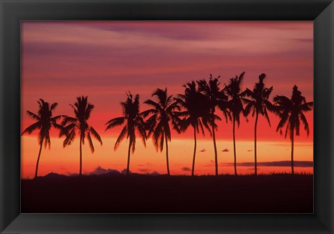 Framed Palm Trees and Sunset, Queens Road, Fiji Print