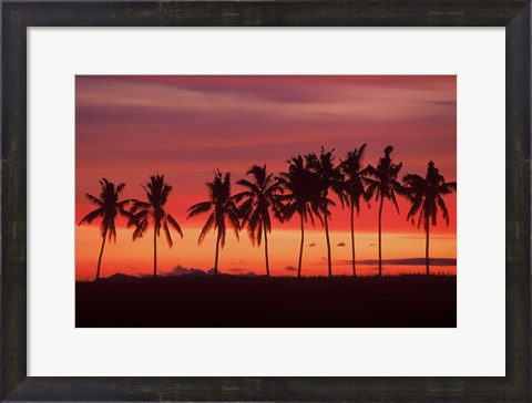 Framed Palm Trees and Sunset, Queens Road, Fiji Print