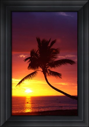 Framed Sunset and Palm Trees, Coral Coast, Viti Levu, Fiji Print