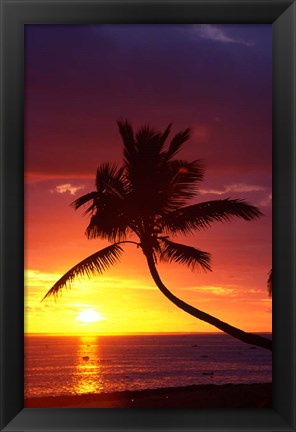 Framed Sunset and Palm Trees, Coral Coast, Viti Levu, Fiji Print