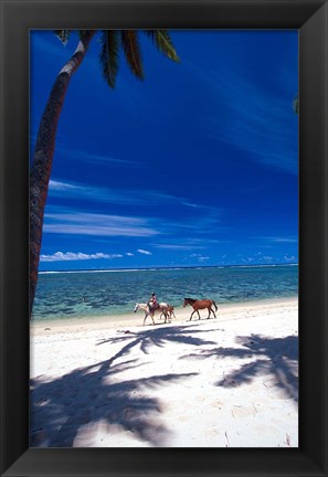 Framed Palm Trees and Horses, Tambua Sands, Coral Coast, Fiji Print