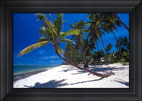 Framed Tambua Sands,Fiji Print